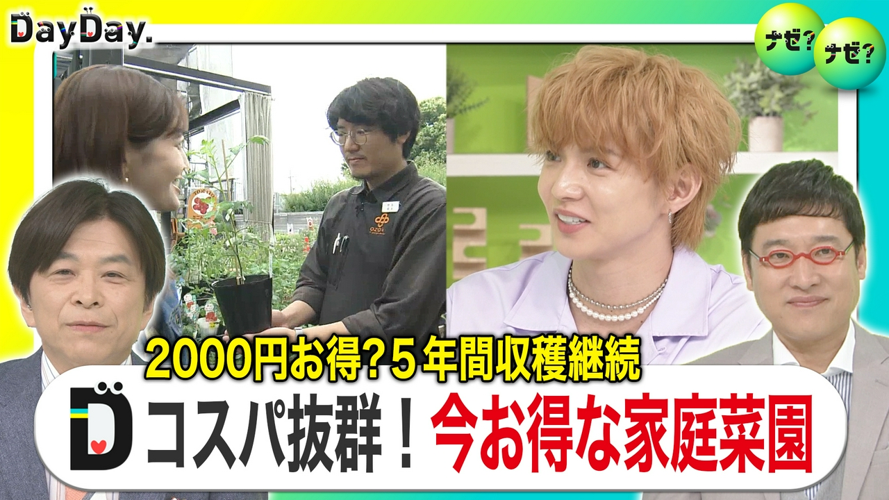 トマト1株で100個に！？コスパ抜群！お得野菜の家庭菜園【ナゼ？ナゼ？】
