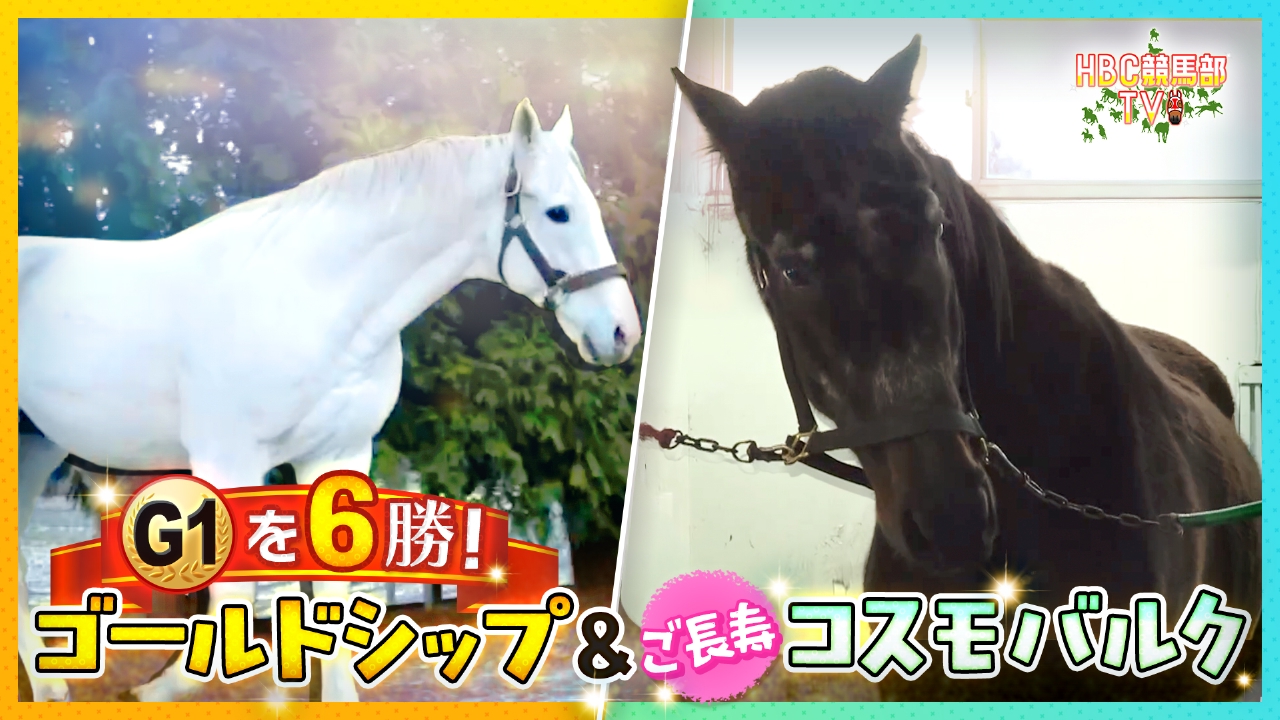 名馬ゴールドシップ＆コスモバルクは今・・・