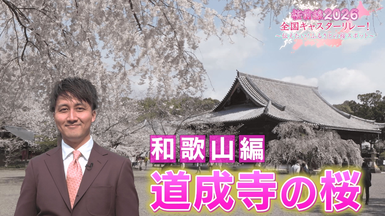 和歌山編「道成寺の桜」