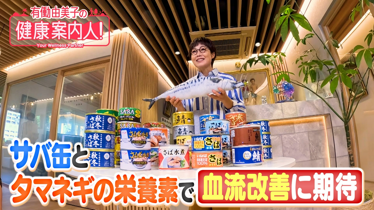 血流改善に期待！サバ缶の“栄養素”