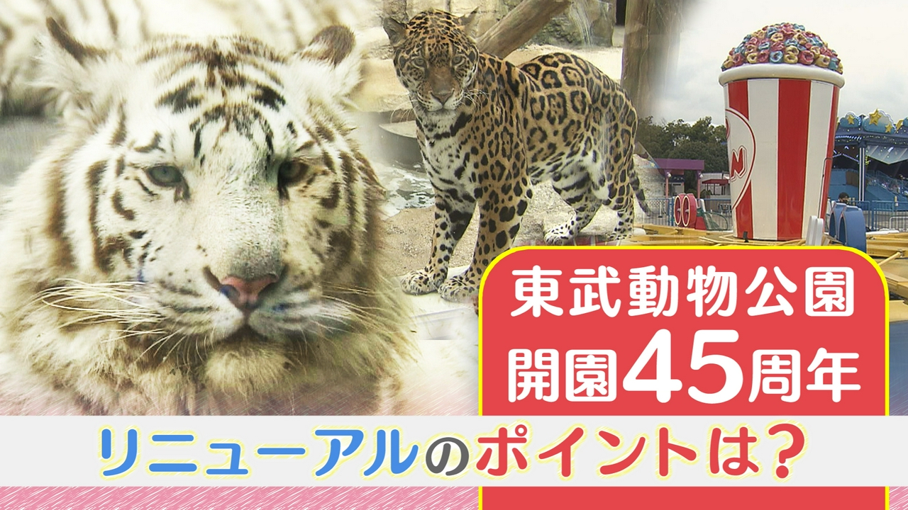 東武動物公園　開園45周年　リニューアルのポイントは？