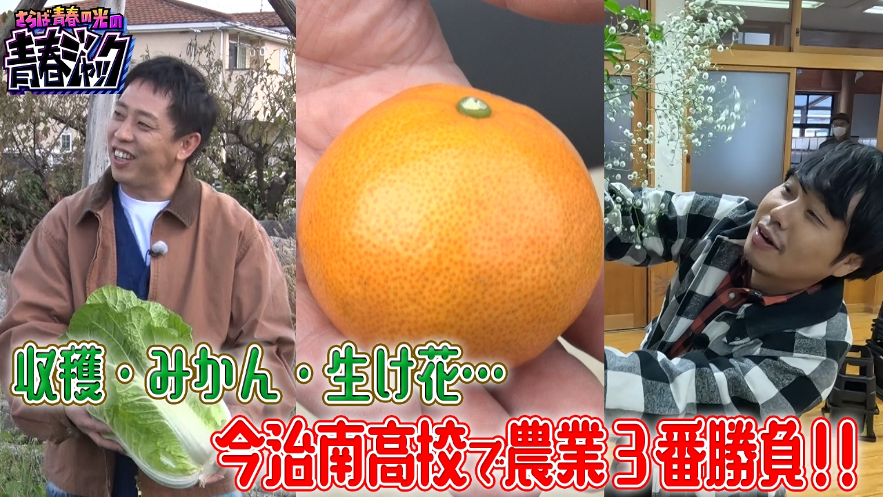 収穫・みかん・生け花…今治南高校で農業3番勝負！！