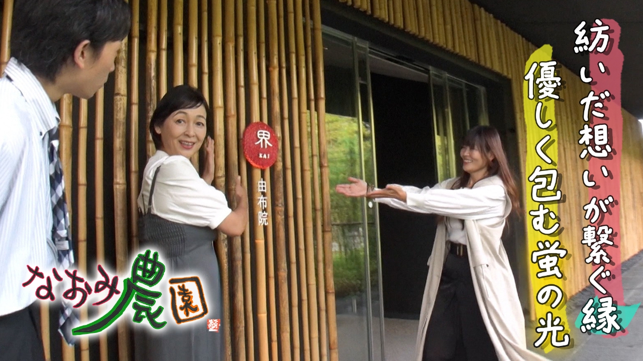 紡いだ想いが繋ぐ縁　優しく包む蛍の光