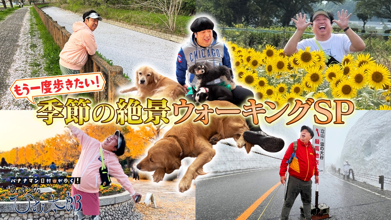 もう一度歩きたい！季節の絶景ウォーキングSP